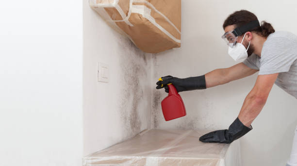Professional Mold Remediation technician working in Garland, TX
