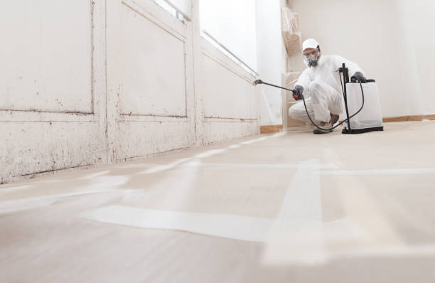 24/7 Emergency Mold Remediation experts in Garland, TX
