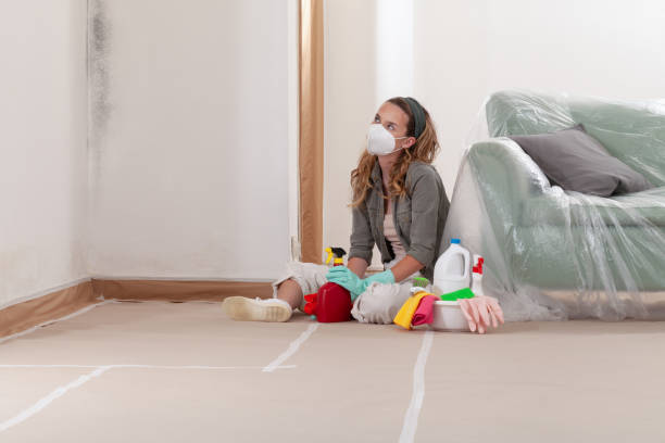 Reliable Mold Remediation contractor in Garland, TX by Car Mold Remediation